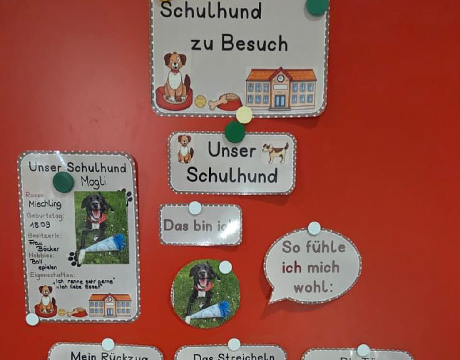 Bild zur Moglis News: Schulhund Mogli begrüßt alle mit neuen Regeln 