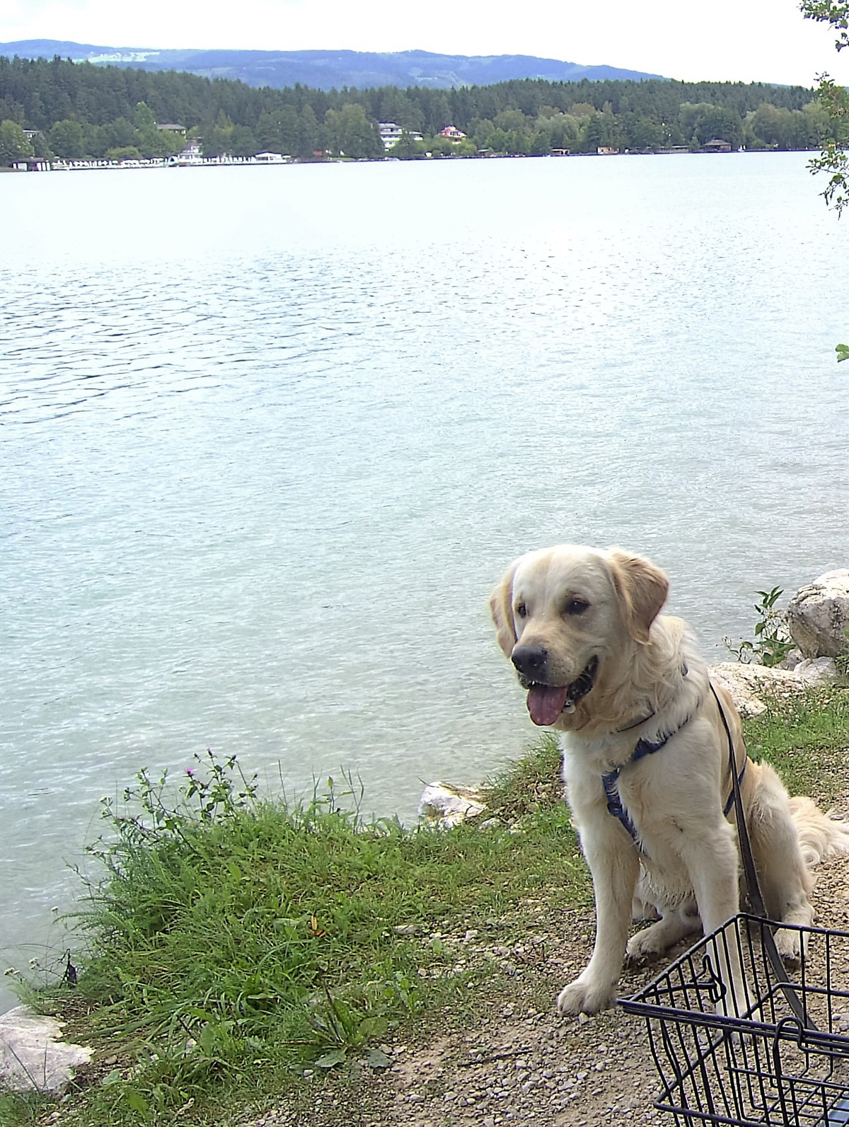 Murphys Tagebuch aus den Sommerferien - Bild 02