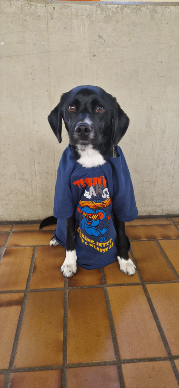 Tschüß, macht´s gut auf Wiedersehn - Bild 01