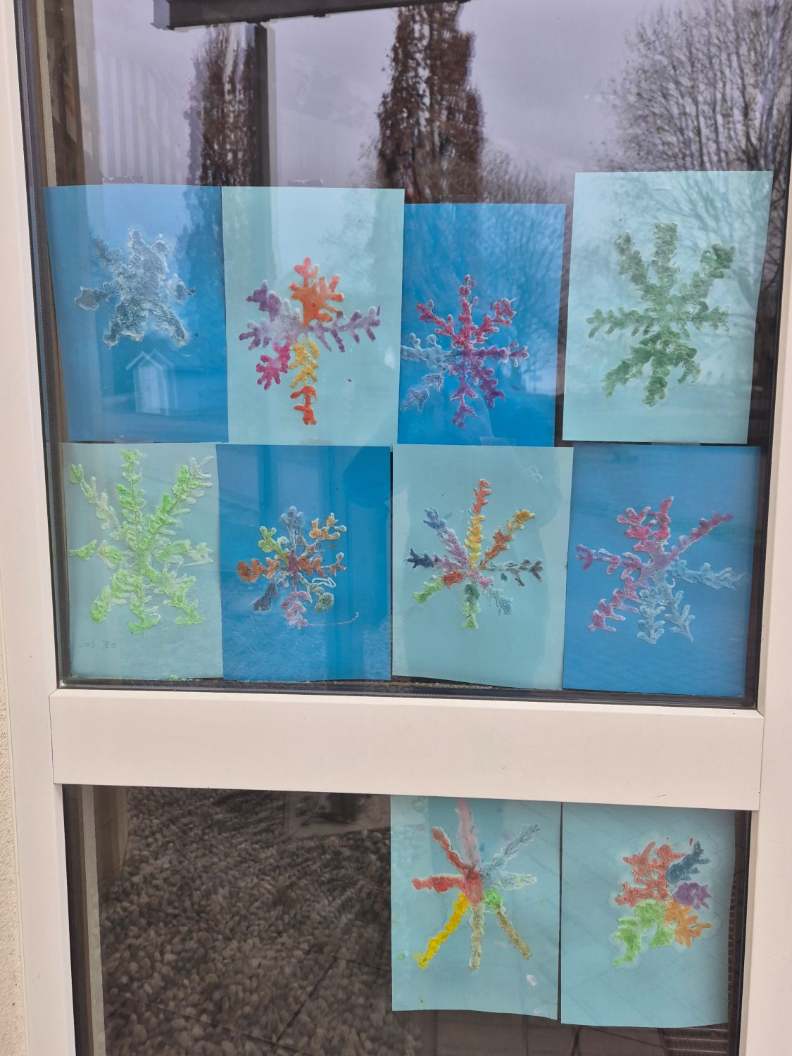 Advents- und Weihnachtszauber in der AKS
- Bild 17