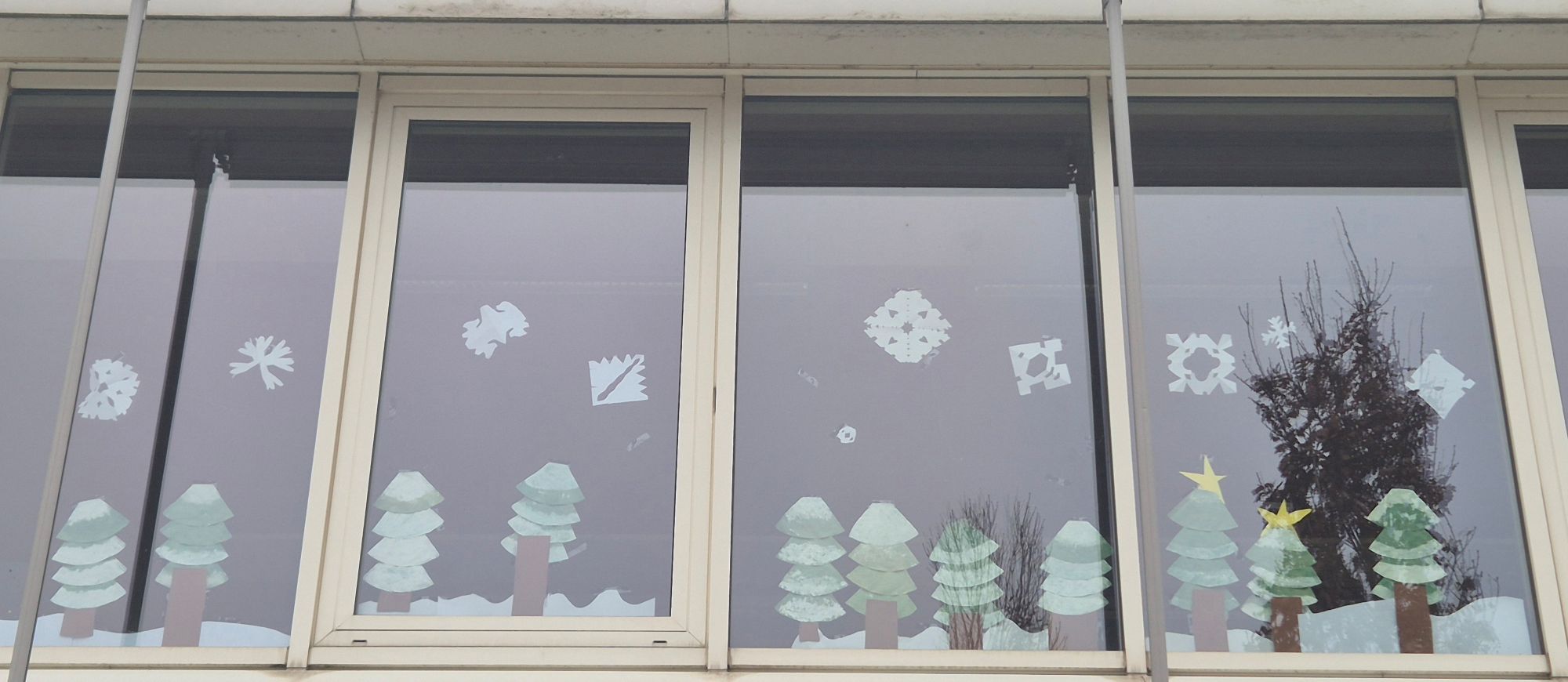 Advents- und Weihnachtszauber in der AKS
- Bild 19