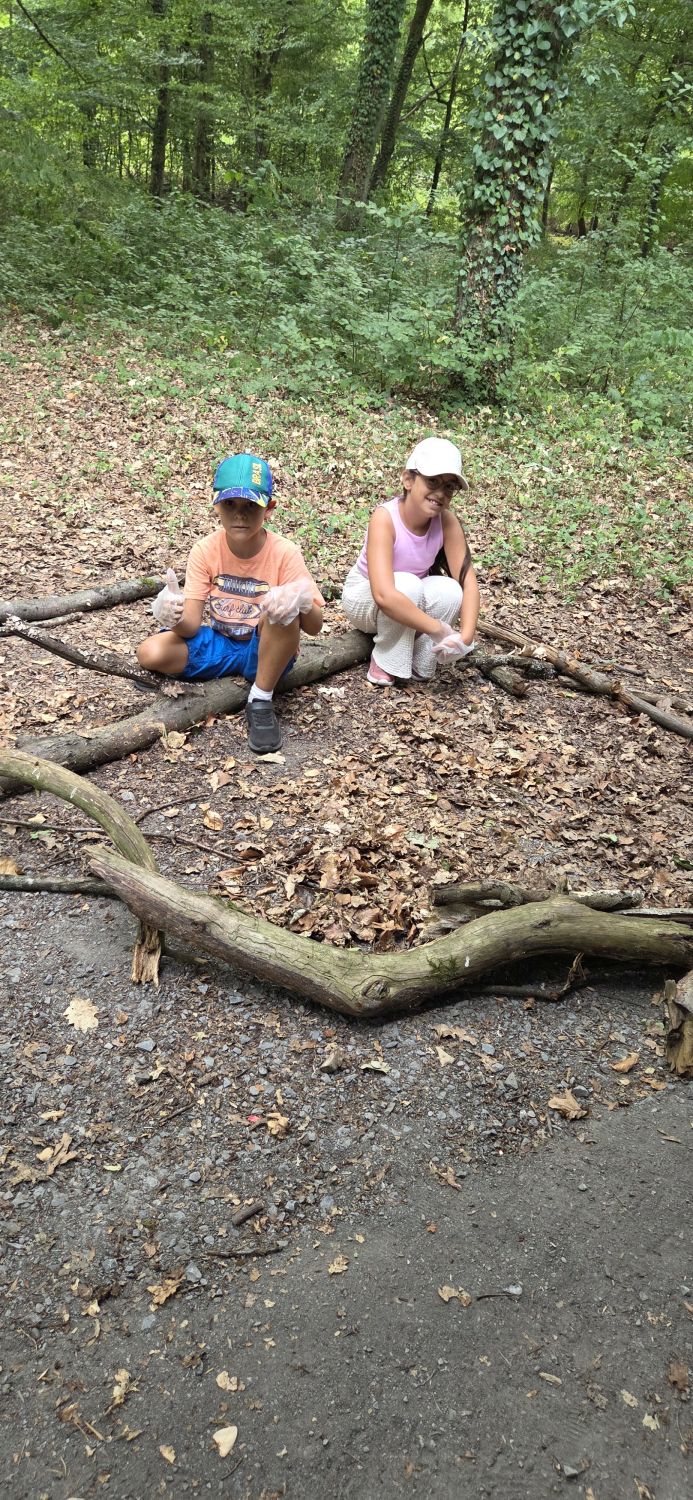 Lerngang der Klasse 3b in den Wald - Bild 05
