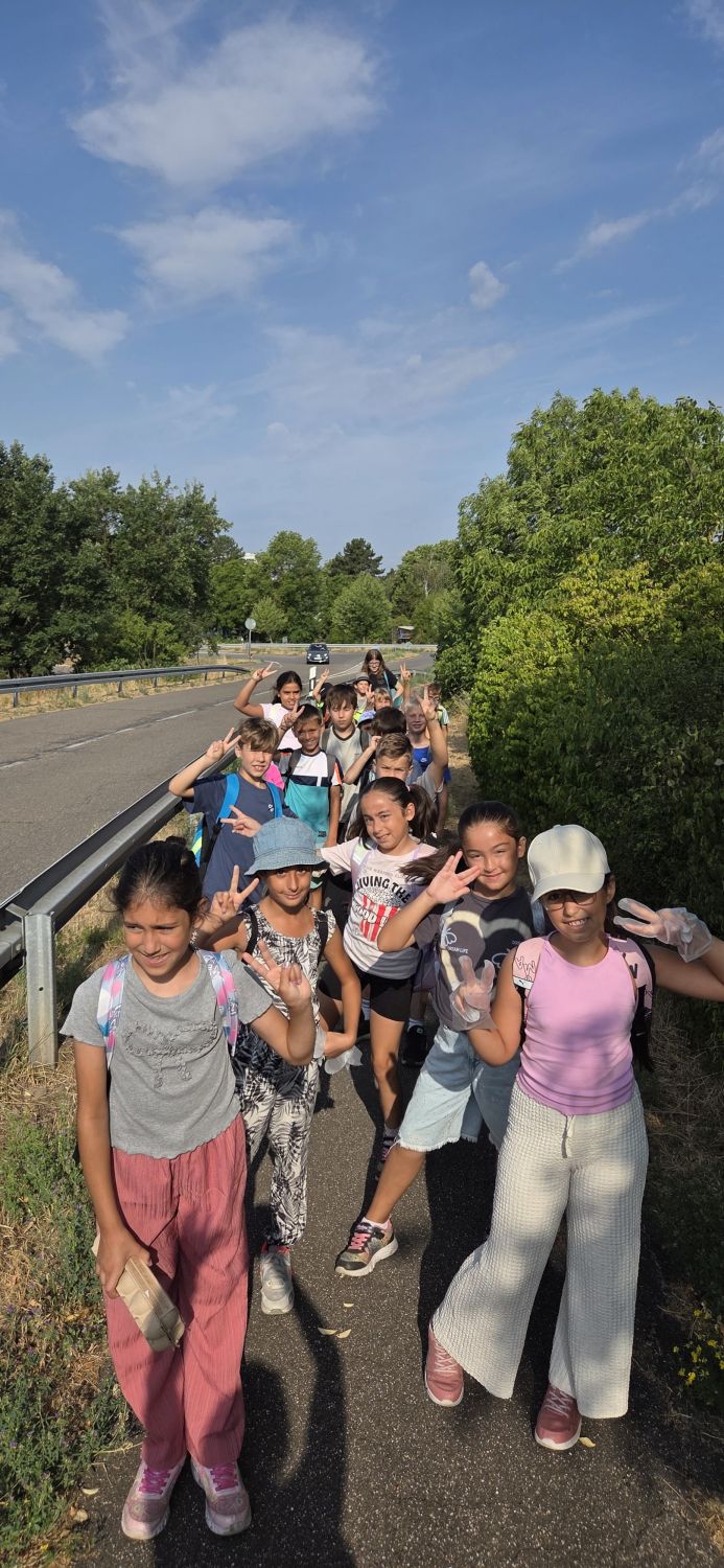 Lerngang der Klasse 3b in den Wald - Bild 14