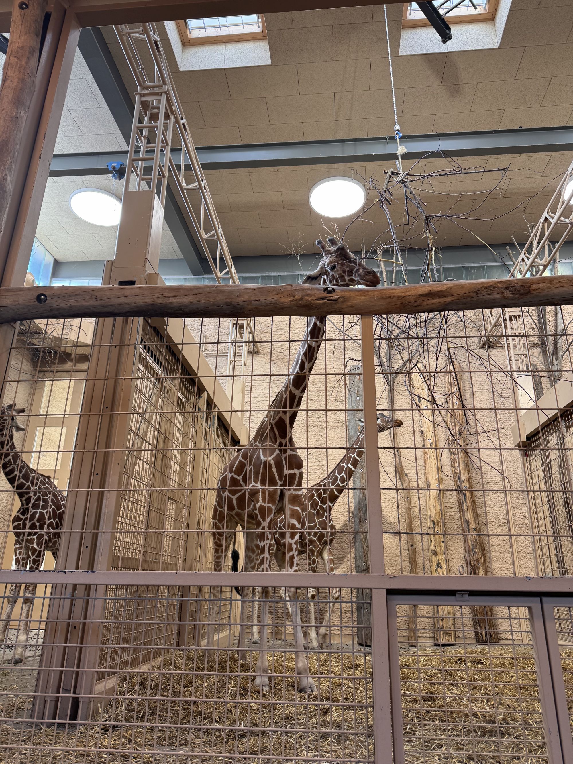 Achtung, fliegende Kacke! – Unser tierisch verrückter Tag im Karlsruher Zoo - Bild 05