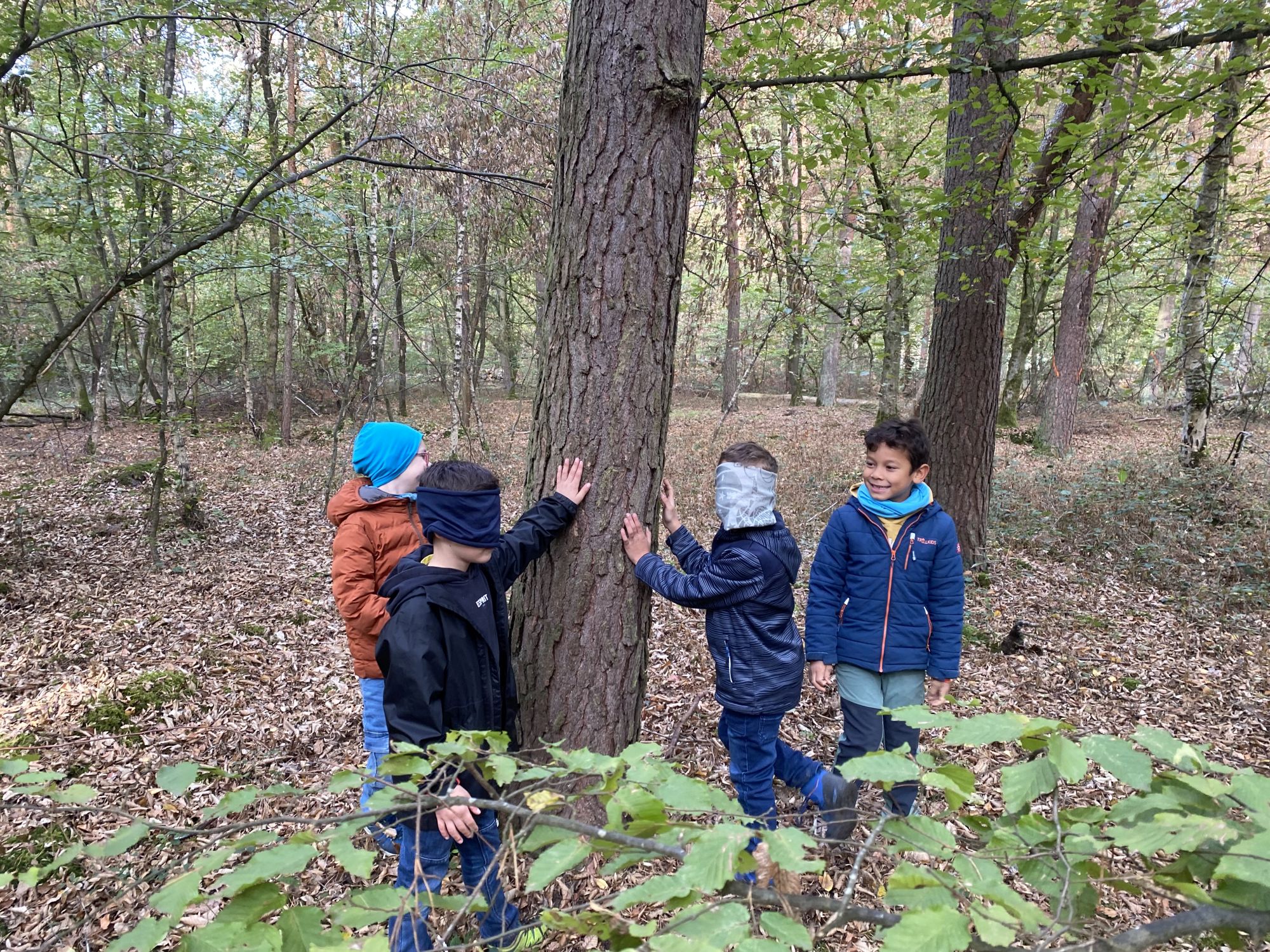 Ein spannender Waldtag der Klasse 2b - Bild 05